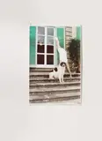Wolfgang Tillmans, MICHAEL & OTTO