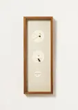 André Thomkins, Untitled