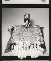 Günther Uecker, Entwicklung eines Werkes. Fotoumwandlungen (Bildrituale) [Development of a work. Photographagraphic Metaphoris (Pictorial Rituals, 22 offset-lithographs, after photographs by Rolf Schroeter, worked over in oil, some scratched and pieced, each
