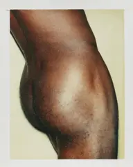 Untitled by Andy Warhol, Polaroid, sold Dec 2009
