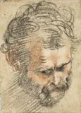 Flemish School 17th century, HEAD OF BEARDED MAN