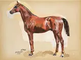 Theodor Rocholl, SCHWARZER HENGST BRAUNER HENGST, Gouache. Tusche in Schwarz. Jeweils