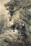 Franz Xaver von Pausinger, HUNTER WITH CHAMOIS BUCH IN THE MOUNTAINS