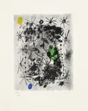 Constellations. by Joan Miró, Portfolio with 1 color lithograph and 22 colored reproductions, text by André Breton, published by Pierre Matisse, New Y, sold May 2009