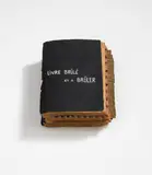 Bernard Aubertin, Livre brûlé et à brûler