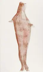Robbe (seal) by Joseph Beuys, Lithograph on white sturdy textured paper, sold May 2009