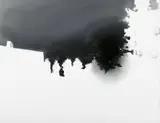 Rafał Bujnowski, Untitled (Negative-Landscape)