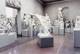 Candida Höfer, AKADEMISCHES KUNSTMUSEUM DER UNIVERSITÄT BONN II (ACADEMIC ART MUSEUM, UNIVERSITY BONN II)