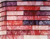Ola Kolehmainen, SEE, WHAT YOU SEE (COMPOSITION IN A GARDEN), Chromogenic print, Diasec mounted