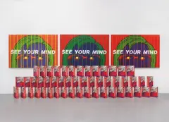 G. Levine, See your Mind, Installation of 3 paintings and 50 Mind-boxes: 3 paintings, each acryl and colour screenprint on canvas