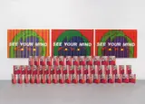 G. Levine, See your Mind, Installation of 3 paintings and 50 Mind-boxes: 3 paintings, each acryl and colour screenprint on canvas