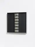 Julio Le Parc, Relief 30, Object of black-white serigraphed cardboard on metal between mirror foil before metal in black metal box