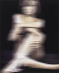 NUDE KN 30 by Thomas Ruff, Chromogenic print on Kodak Professional paper, sold May 2009