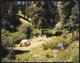 Stephen Shore, JACKSON, WYOMING