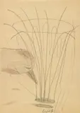 Rosemarie Trockel, UNTITLED, Ball-point pen, colour pencil and pencil on thin brownish paper