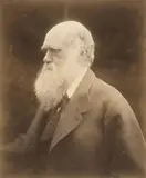 Julia Margaret Cameron, CHARLES DARWIN