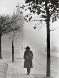 AUTUMNAL ATMOSPHERE IN FRANKFURT by Paul Wolff & Alfred Tritschler, Vintage ferrotyped gelatin silver print, sold May 2009
