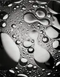 DROP OF OIL by Peter Keetman, Ferrotyped gelatin silver print, printed later, sold May 2009
