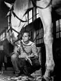 Stefan Moses, KLAUS KINSKI WITH HORSE "FRÄNZI", CENTRAL MARKET HALL, MUNICH, Later gelatin silver print