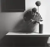 Robert Mapplethorpe, FLOWER
