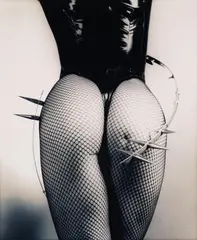 Günter Blum, TECHNO TORSO, Toned gelatin silver print