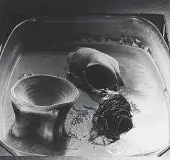 UNTITLED by Dieter Appelt, Gelatin silver print on Agfa paper, sold May 2009
