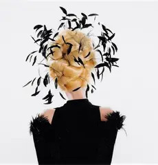 Herlinde Koelbl, FEATHERS, Digital inkjet print