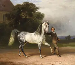 Franz Adam, YOUNG MAN WITH A BAREBACK WHITE HORSE, Oil on canvas