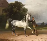 Franz Adam, YOUNG MAN WITH A BAREBACK WHITE HORSE, Oil on canvas
