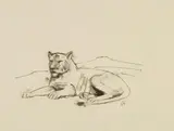 Resting Lions by Karl Hofer, Pen and brush, with lavis, on toned laid paper with watermark "INGRES", sold Dec 2008