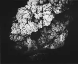 Hiroshi Hamaya, UNTITLED (VULCANO), Vintage gelatin silver print