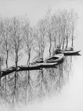 Toni Schneiders, HIDE TIDE ON LAKE SKUTARI, YUGOSLAVIA