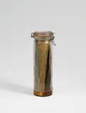 Geruchsplastik (Odor Sculpture) by Joseph Beuys, Glass canning jar with printed information, ethereal oils and clorophyl, height 33 cm, sold Dec 2008