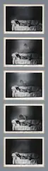 THE YOUNG GIRL'S DREAM by LaToya Ruby Frazier, Photo work in five parts: gelatin silver prints each, sold Dec 2008