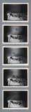 LaToya Ruby Frazier, THE YOUNG GIRL'S DREAM