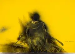 Untitled by Otto Piene, Acrylic, traces of fire and soot on cardboard printed in colour, sold Dec 2008