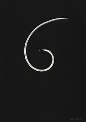 Robert Rotar, Untitled (Spiral), Acrylic on black paper