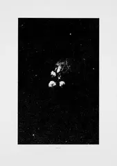 17H 12M/-35 Degrees by Thomas Ruff, Grano-lithograph on Ikonorex paper, sold Dec 2008