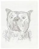 Rosemarie Trockel, Untitled, Pencil and ballpoint pen with lavis on squared paper, the left margin torn