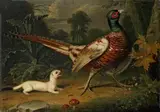Jakob Samuel Beck, WOODED LANDSCAPE WITH PHEASENT AND WEASEL, Oil on canvas