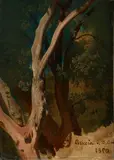 Oswald Achenbach, STUDY OF A TREE