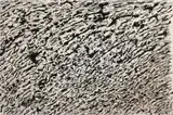 Henri Michaux, Ohne Titel, Tusche auf leinenstrukturiertem festen Papier