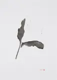 Thomas Schütte, Ohne Titel (Lilie 19.5.96), 1996, Aquarell und Tusche auf schwerem Velin