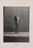 Zollstockpalme. Brotpalme. Polke als Palme. Luftballonpalme. Glaspalme. Die Decke, in die sich immer wieder die Konturen einer weiblichen Figur falten. Der Doppelgänger. Korrektur an den Handlinien. Polke entlaubt einen Baum. Die Weide, die nur meinetwege by Sigmar Polke, 1968, 10 Offsetlithographien auf dünnem beigen Karton um, offered May 2008