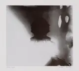 Sigmar Polke, Selbstbildnis