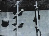 Sigmar Polke, Fernsehbild (Kicker I)