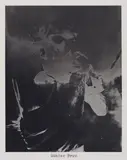 Günter Brus by Sigmar Polke, 1973, Offsetlithographie in Schwarz und Grau auf dünnem Karton., offered May 2008