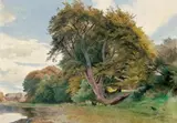 Carl Hummel, KELLERSEE.