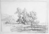 Friedrich Preller the Elder, EICHEN AUF RÜGEN., Bleistift auf Papier