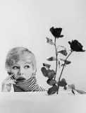 Franz Lazi, WERBEAUFNAHME, Farbphotographie auf Kodak-Papier hochglänzend